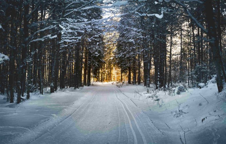 Eine Wintergeschichte von Wolfgang Walk